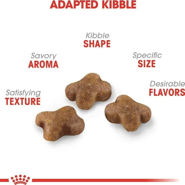 Royal Canin Kitten Dry Cat Food