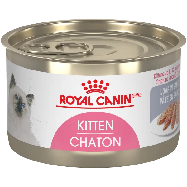 Royal Canin Kitten Loaf in Sauce Canned Cat Food