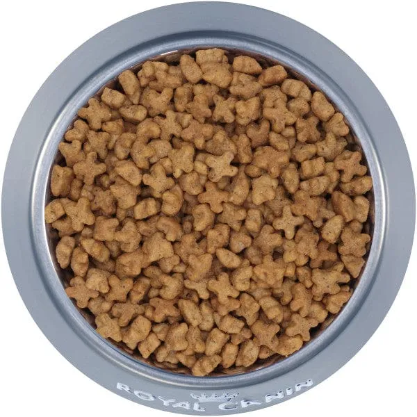 Royal Canin Kitten Spayed/Neutered Dry Cat Food, 2.5 lb