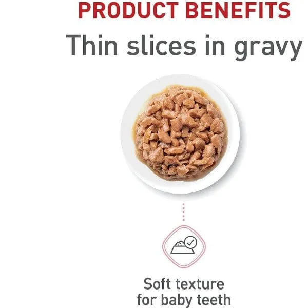 Royal Canin Kitten Thin Slices in Gravy Canned Cat Food 12 Pack