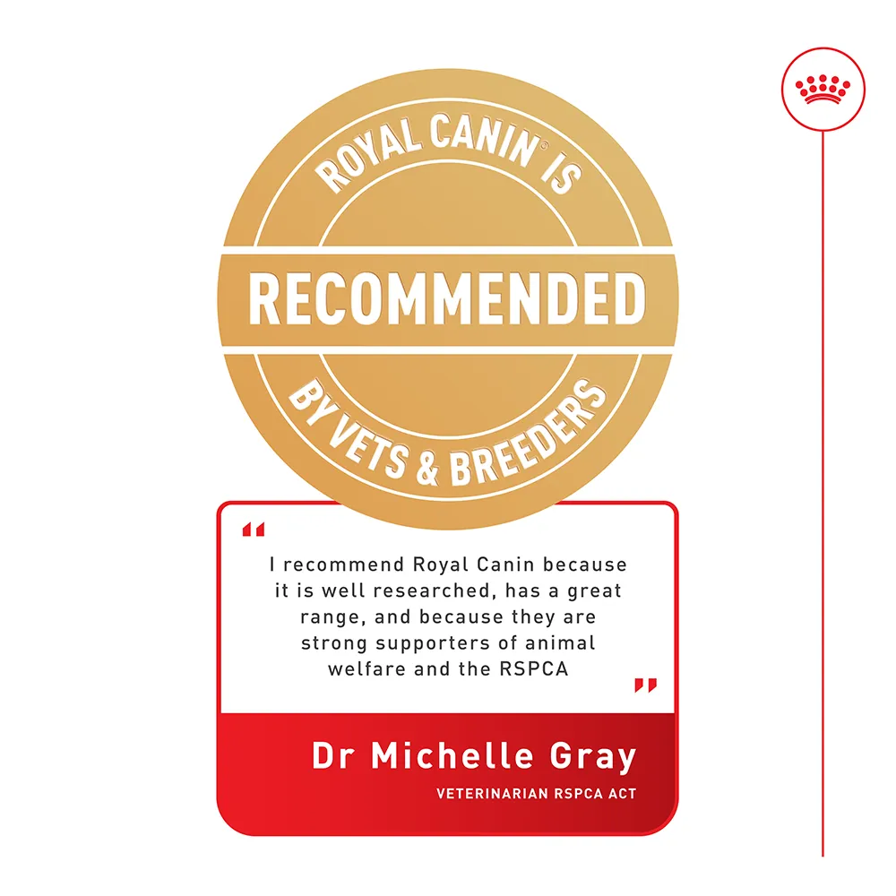 Royal Canin - Light Weight Care Gravy Adult Cat Wet Food (85g x 12pk)