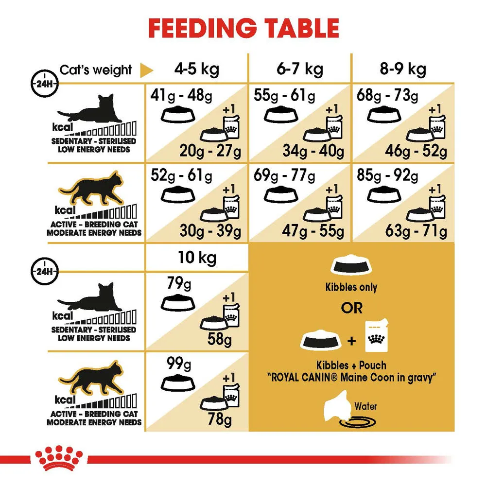 Royal Canin - Maine Coon Breed Adult Cat Dry Food (10kg)