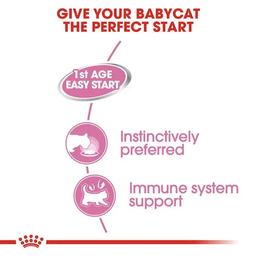 Royal Canin - Mother & BabyCat Canned Food 195g