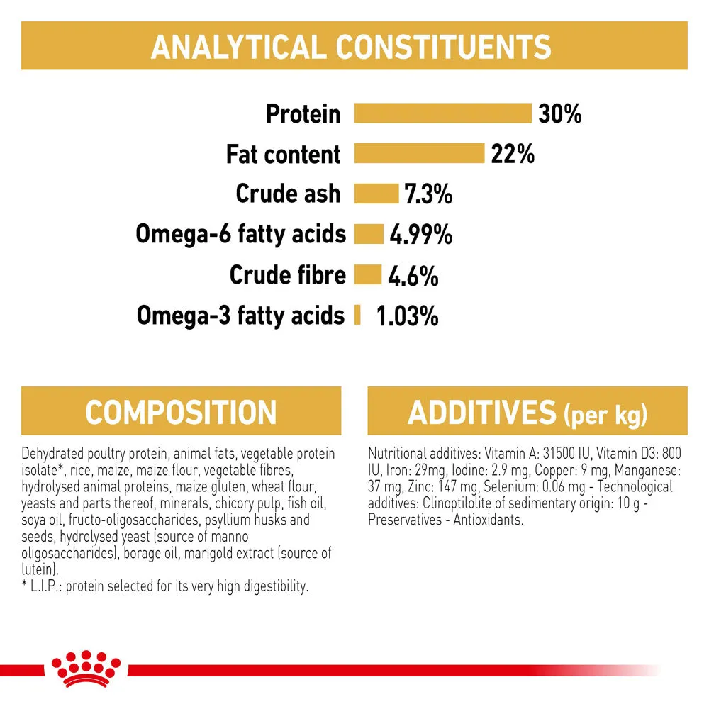 Royal Canin - Persian Breed Adult Cat Dry Food (10kg)