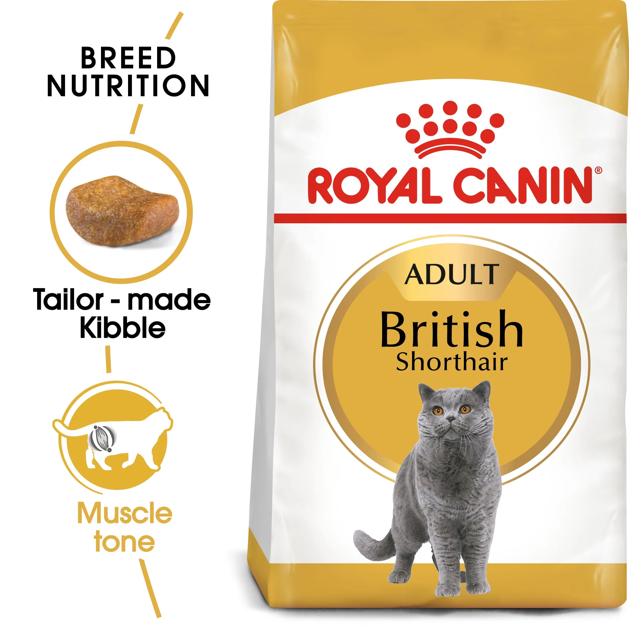 Royal Canin - Ragdoll Breed Adult Cat Dry Food (10kg)