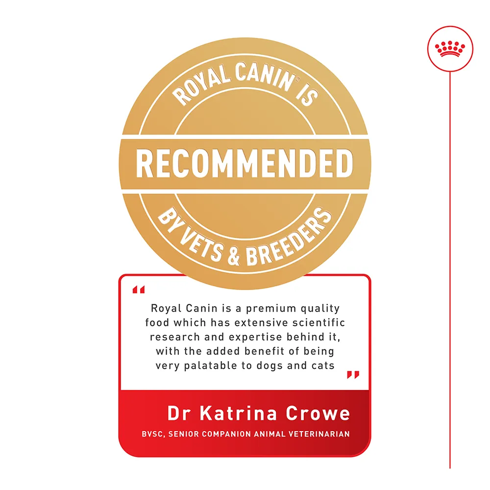 Royal Canin - Ragdoll Breed Adult Cat Dry Food (10kg)
