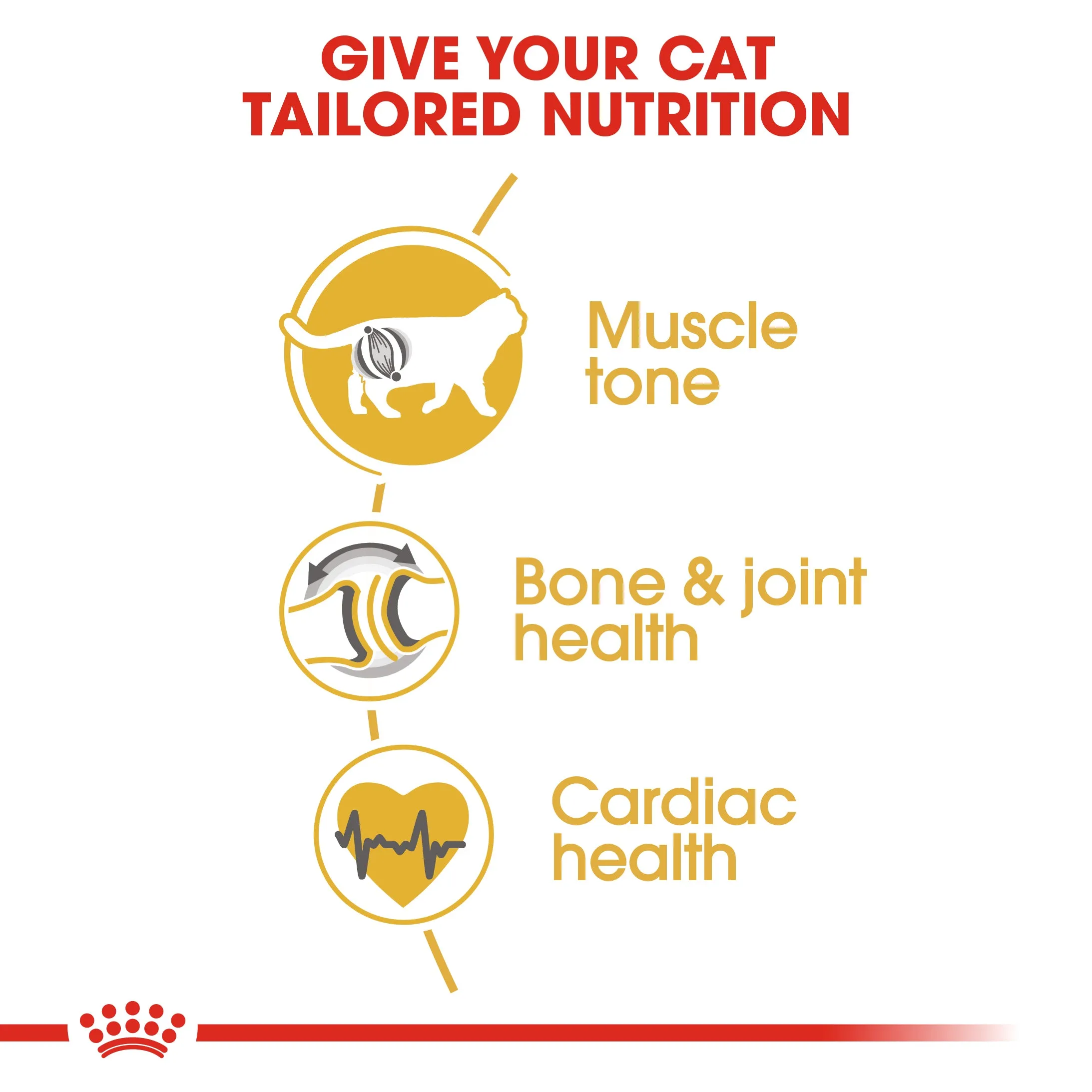 Royal Canin - Ragdoll Breed Adult Cat Dry Food (10kg)