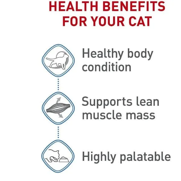 Royal Canin Weight Care Thin Slices in Gravy Canned Cat Food, 85g
