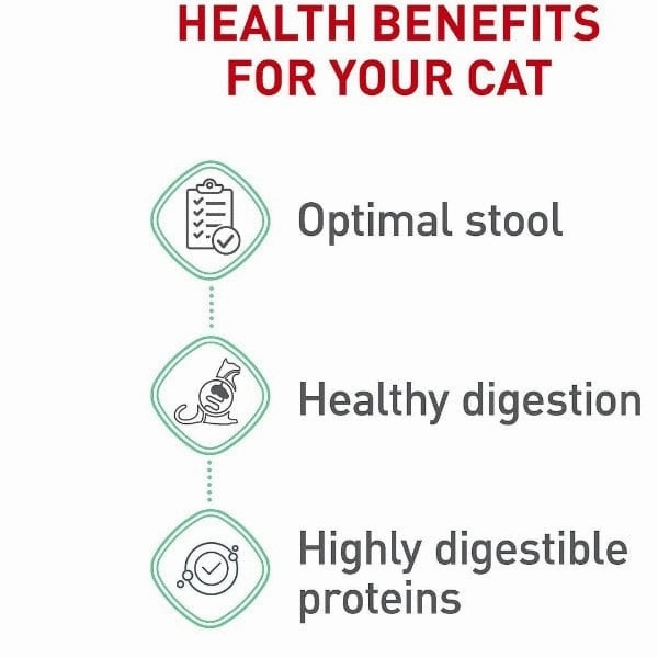 Royal Canin Digestive Care Adult Dry Cat Food