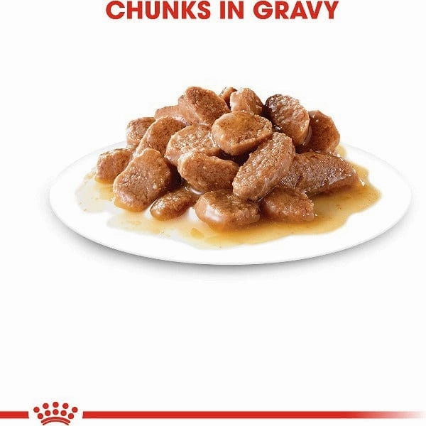 Royal Canin Digestive Care Chunks in Gravy Cat Food Pouch