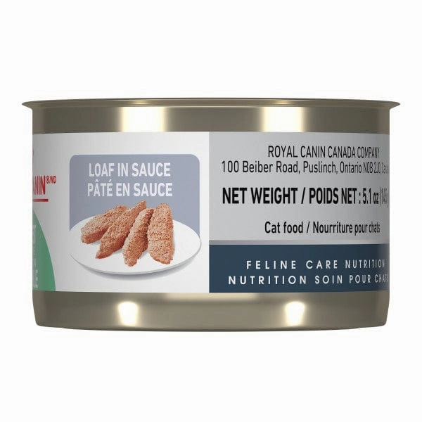 Royal Canin Digestive Care Loaf in Sauce Canned Cat Food, 145g