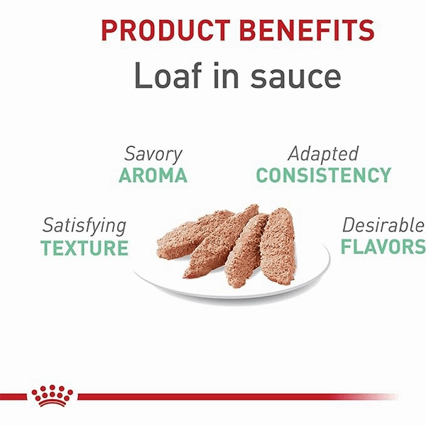 Royal Canin Digestive Care Loaf in Sauce Canned Cat Food, 145g