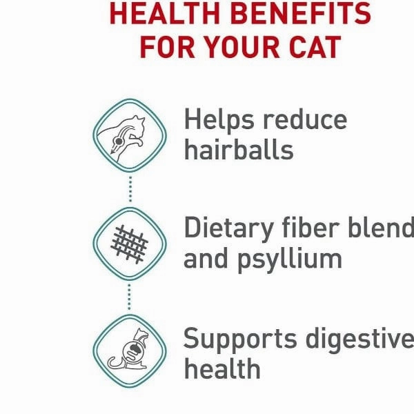 Royal Canin Hairball Care Dry Cat Food