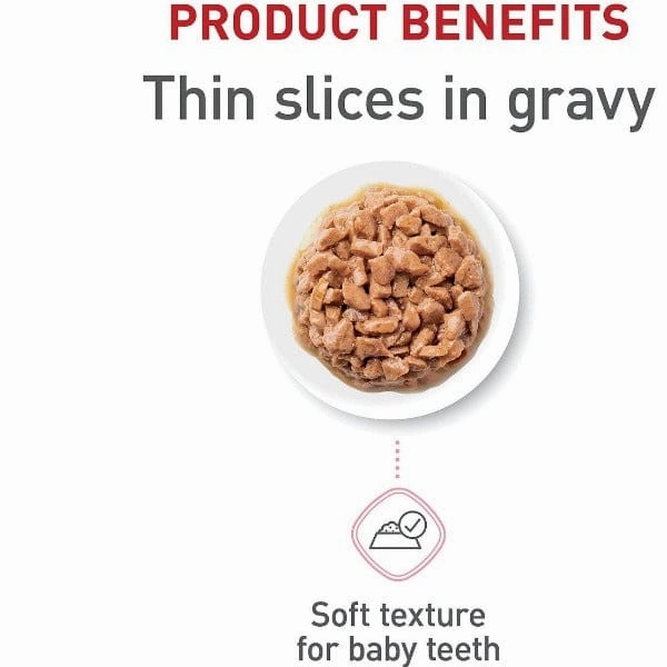 Royal Canin Kitten Thin Slices in Gravy Canned Cat Food 12 Pack