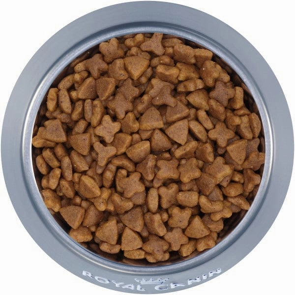 Royal Canin Sensitive Digestion Adult Dry Cat Food