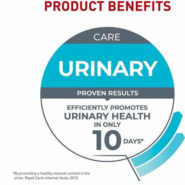 Royal Canin Urinary Care Thin Slices in Gravy Canned Cat Food, 85g