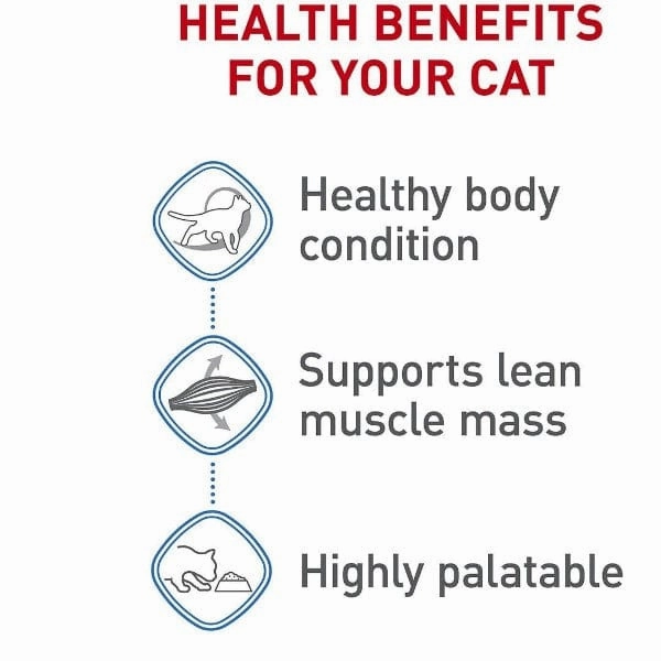 Royal Canin Weight Care Thin Slices in Gravy Canned Cat Food, 85g