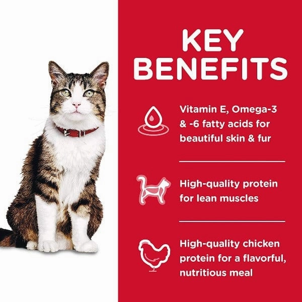 Science Diet Adult Hairball Control Chicken Recipe Dry Cat Food