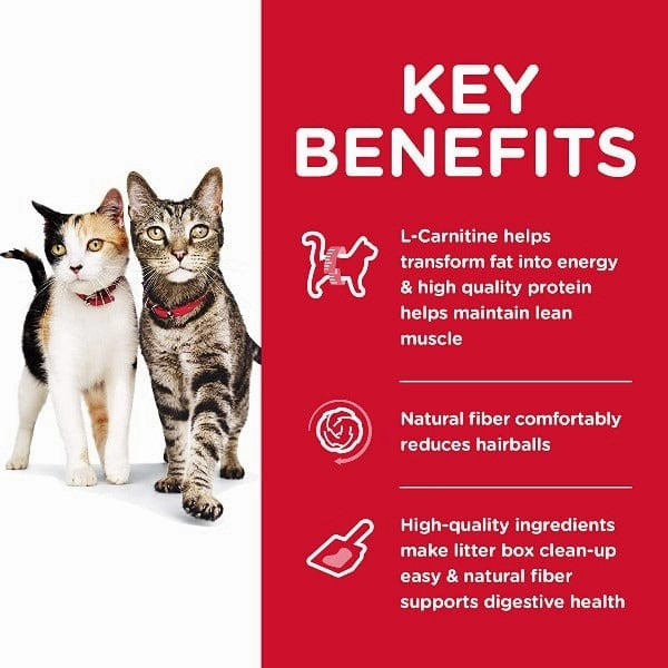 Science Diet Adult Multiple Benefit Chicken Recipe Dry Cat Food