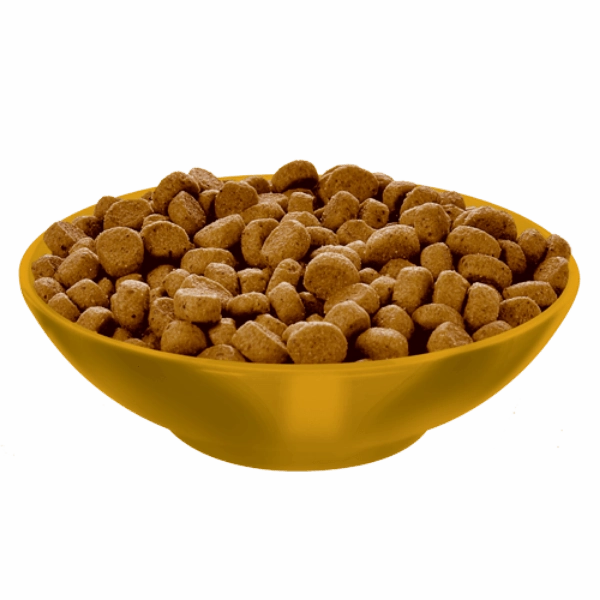 Science Diet Adult Perfect Weight Chicken Recipe Dry Cat Food