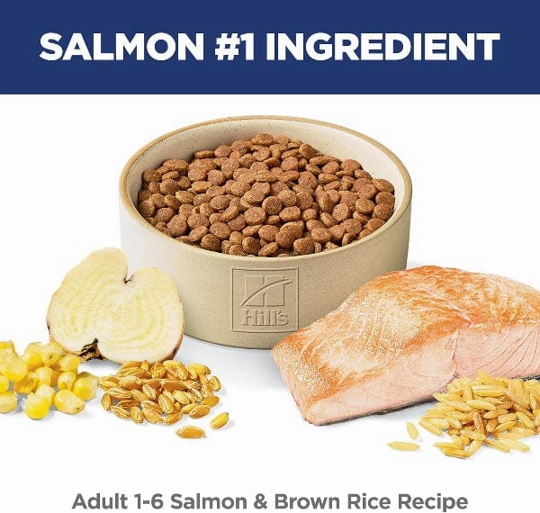 Science Diet Adult Salmon & Brown Rice Recipe Dry Cat Food