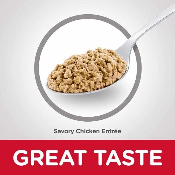 Science Diet Indoor Savory Chicken Entree Adult Canned Cat Food, 5.5oz