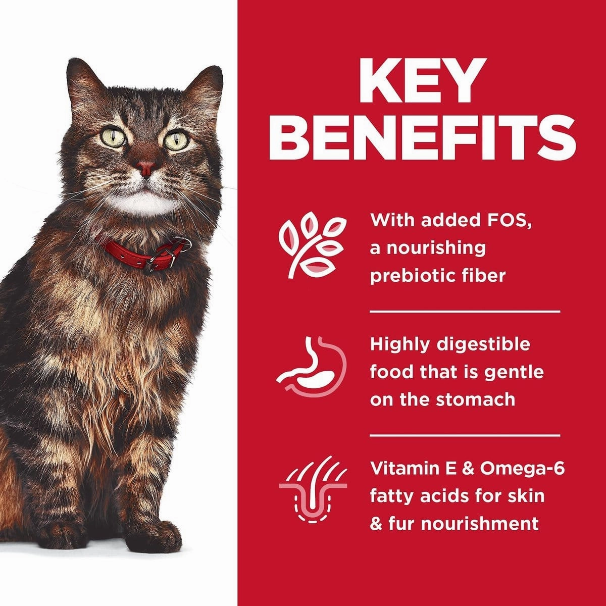 Science Diet Sensitive Stomach & Skin Salmon & Tuna Pouch Cat Food