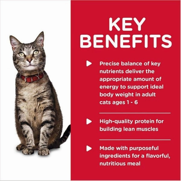 Science Diet Tender Chicken Dinner Adult Canned Cat Food, 5.5oz