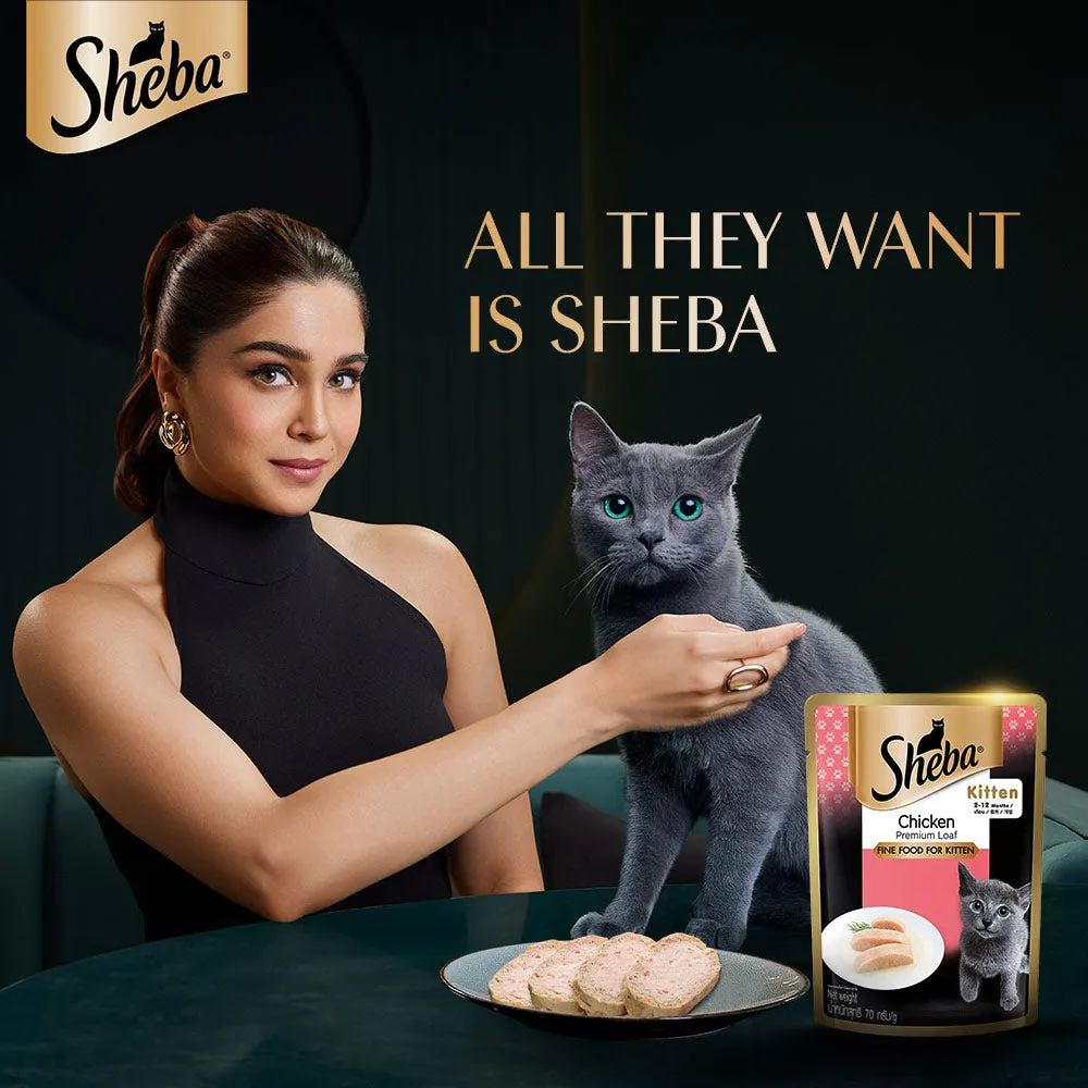 Sheba Chicken Loaf and Whiskas Tuna in Jelly Kitten Cat Wet Food Combo