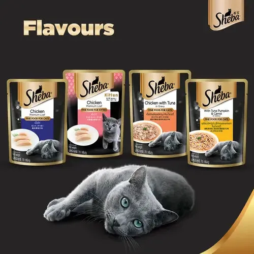 Sheba Tuna Pumpkin & Carrot In Gravy and Whiskas Chicken in Gravy Cat Wet Food Combo
