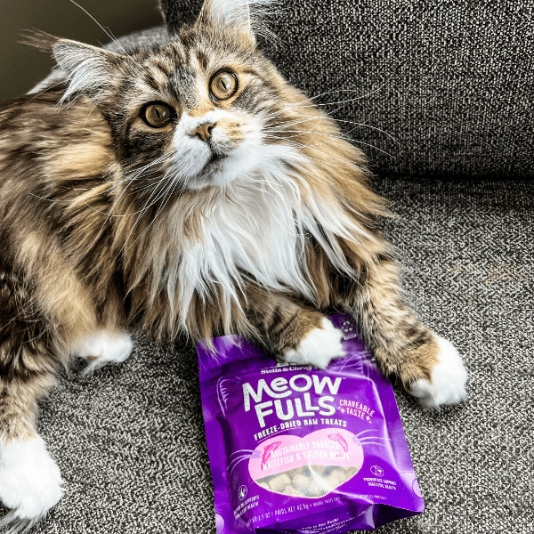 Stella & Chewy's Meowfulls Whitefish & Salmon Cat Treats