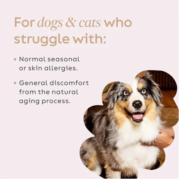 Super Snouts Turkey Tail Powder Supplements for Dogs and Cats