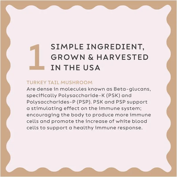 Super Snouts Turkey Tail Powder Supplements for Dogs and Cats