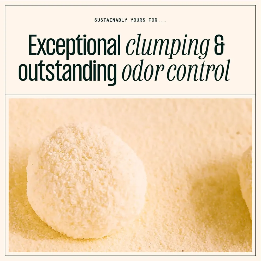 Sustainably Yours Multi Cat Unscented Cat Litter