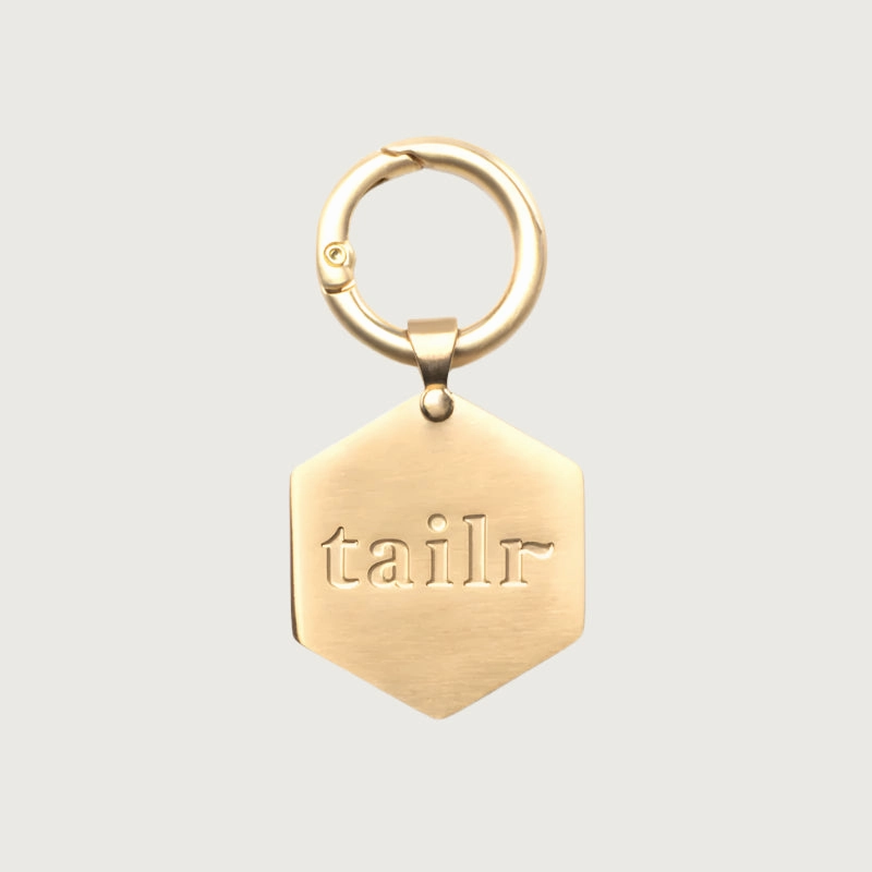 TAILR Classic QR Code Pet ID Tag for Dogs & Cats