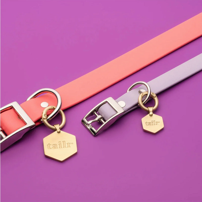 TAILR Classic QR Code Pet ID Tag for Dogs & Cats
