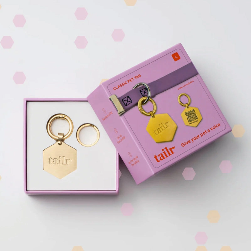TAILR Classic QR Code Pet ID Tag for Dogs & Cats