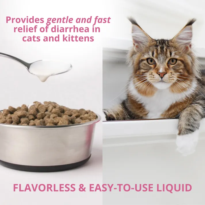Under the Weather Anti-Diarrhea Liquid Supplement For Cats