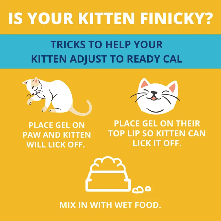 Under the Weather Ready Cal High-Calorie Supplement For Kittens