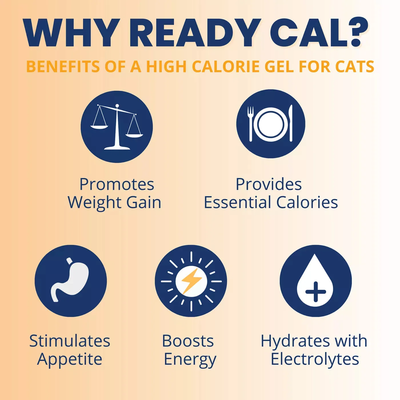 Under the Weather Ready Cal Plus Electrolytes High-Calorie Supplement for Cats