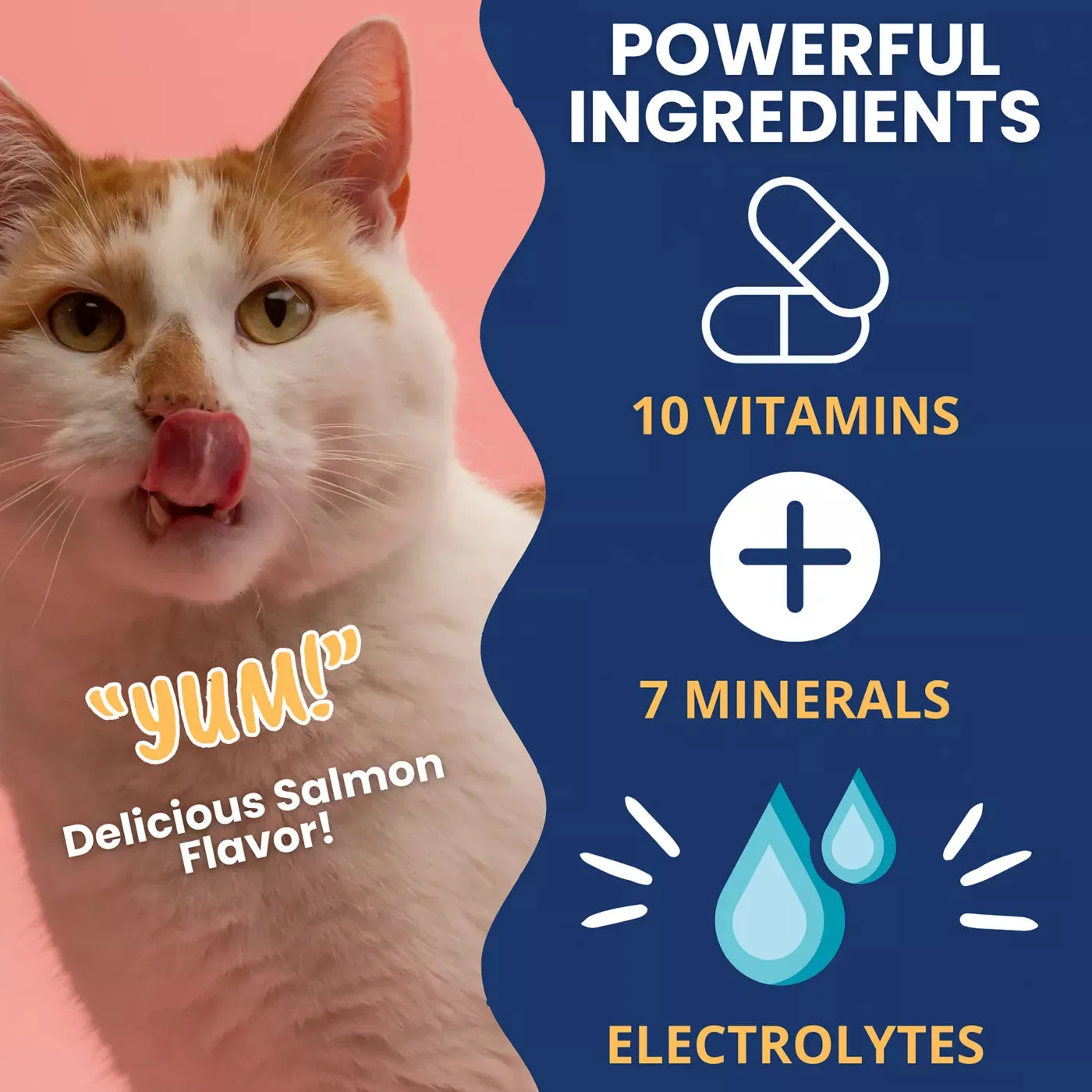 Under the Weather Ready Cal Plus Electrolytes High-Calorie Supplement for Cats