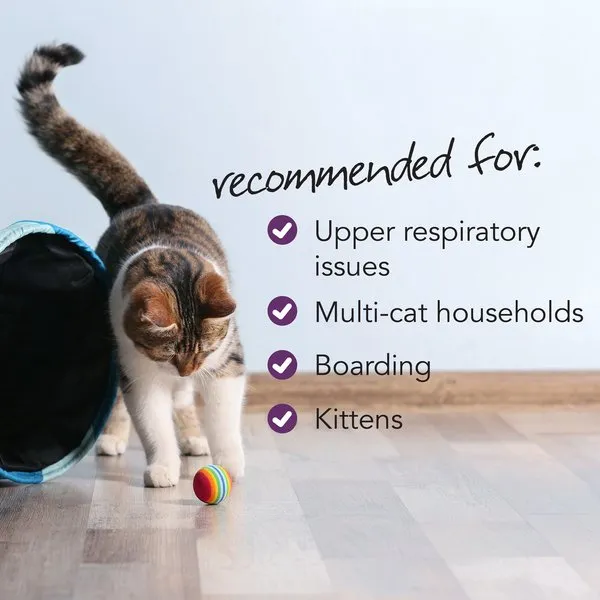 VetriScience Vetri-Lysine Plus Chicken Liver Flavored Soft Chews Immune Supplement for Cats