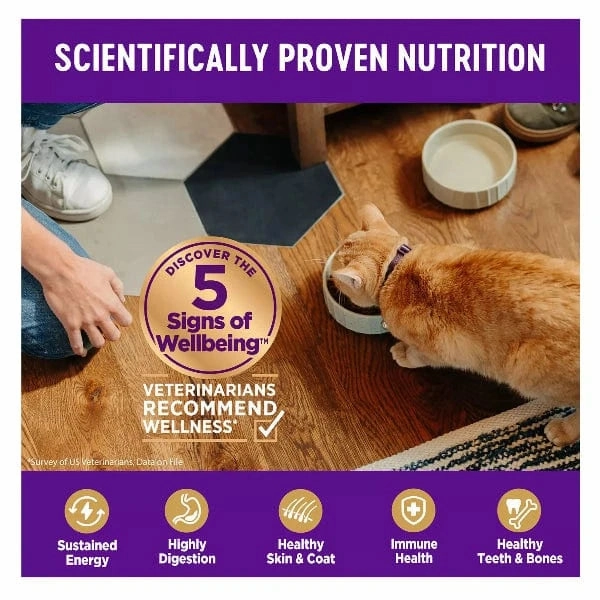 Wellness Complete Health Grain Free Indoor Deboned Chicken Dry Cat Food