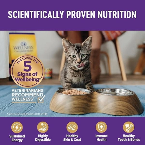 Wellness Complete Health Pate Beef & Chicken Dinner Canned Cat Food, 5.5oz