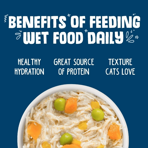 Weruva Grandma's Chicken Soup with Chicken & Pumpkin Canned Cat Food, 3oz