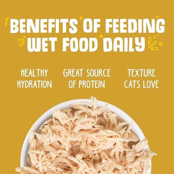 Weruva Paw Lickin' Chicken Recipe in Gravy Canned Cat Food, 3oz